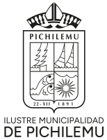 Logo Verano Municipal_Logo negro